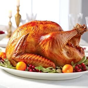 HIC Kitchen Turkey Embossed Serving Platter, Fine White Porcelain, Oversized